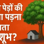 Vastu tree shadow inauspicious