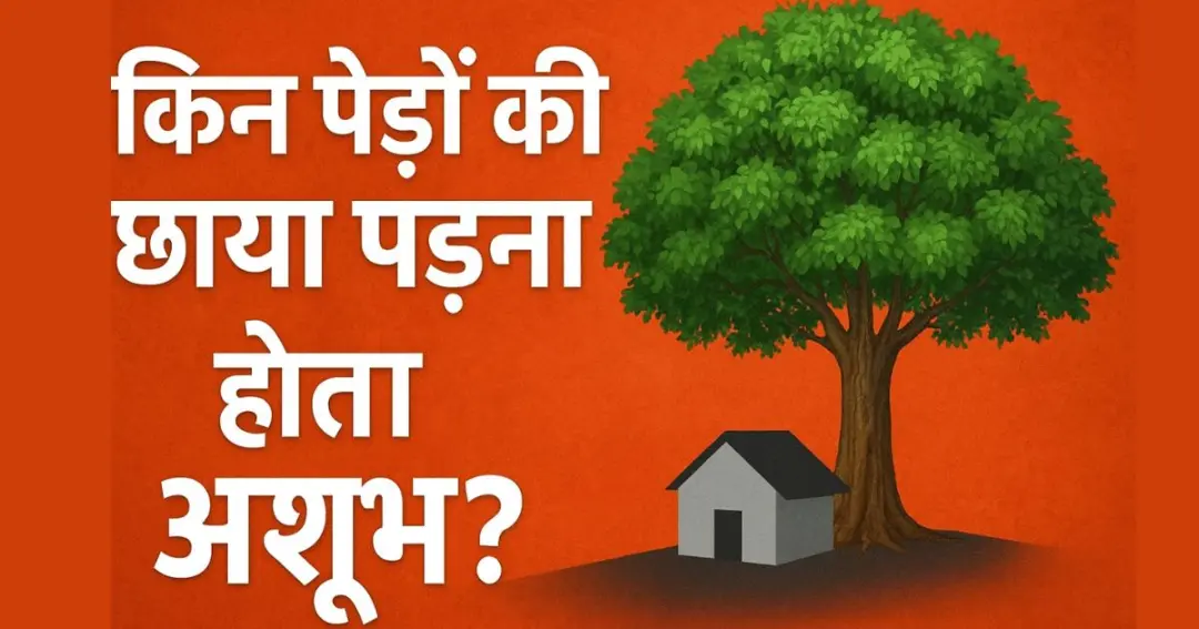 Vastu tree shadow inauspicious