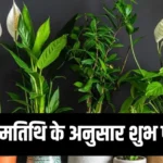 lucky plants by birth date