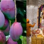Ayodhya Ram Mandir Miyazaki Mango