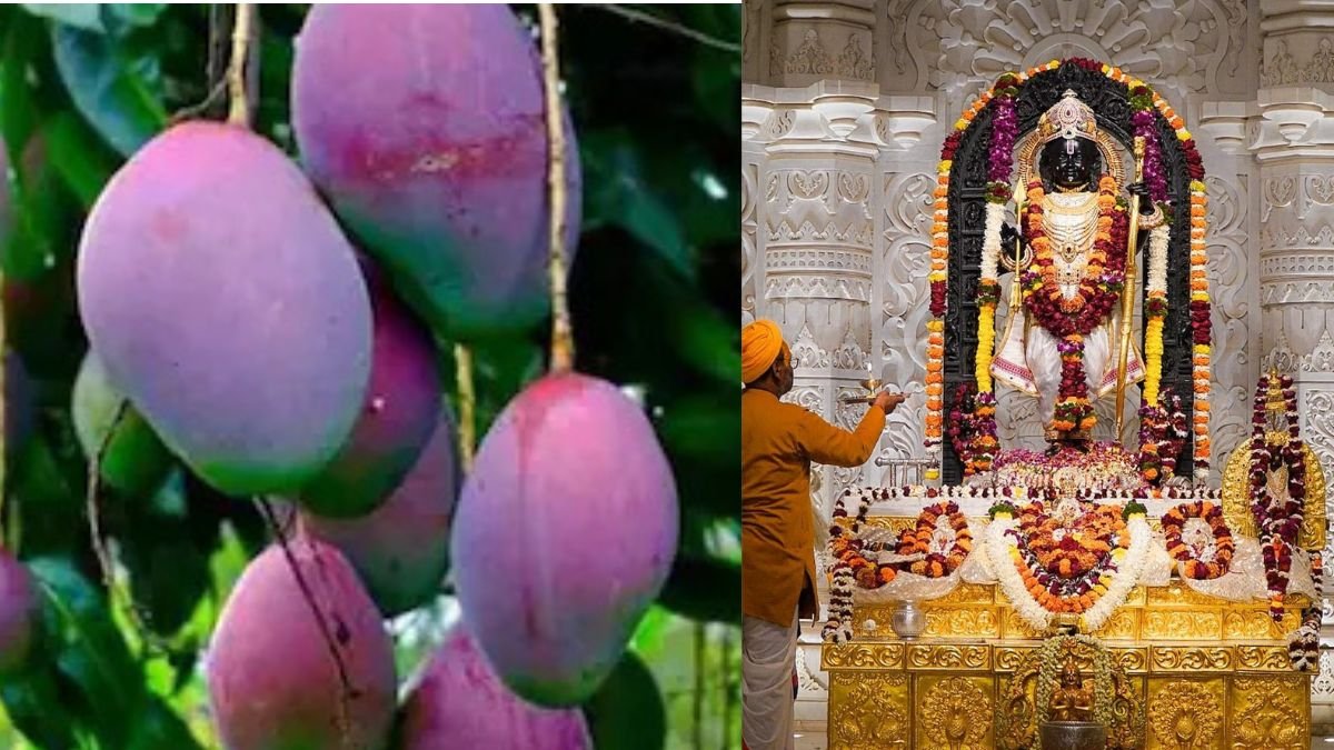 Ayodhya Ram Mandir Miyazaki Mango