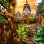 Jagannath Temple, Dayana Seva (1)